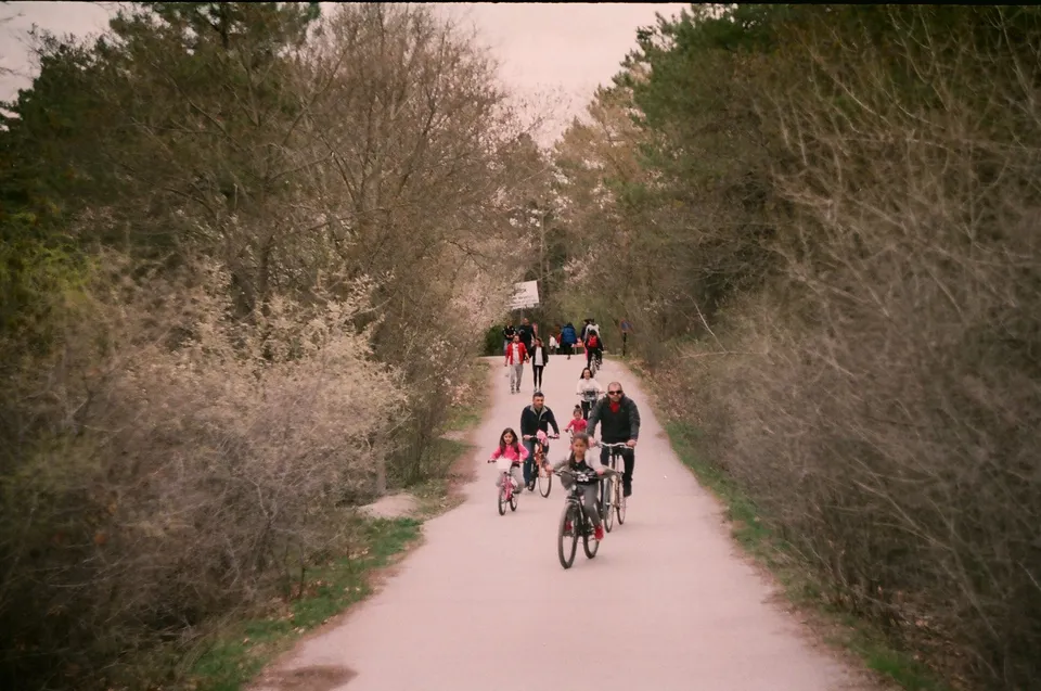 A group of families cycling along a scenic rural path surrounded by nature.