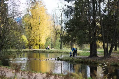 Families enjoying a walk in the park by the lake during a crisp autumn day, surrounded by vibrant foliage and nature.