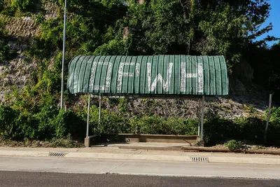 A rustic bus stop with a tin canopy amid lush greenery on a sunny day.