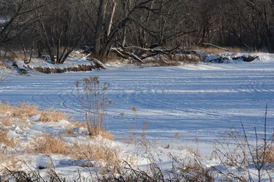 Serene winter landscape with a frozen river and snow in rural Minnesota, highlighting nature's tranquility.